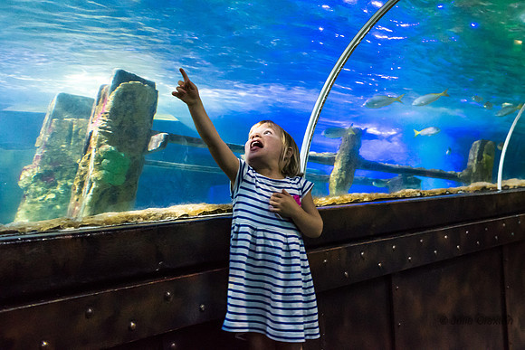 62-20160715-_DSC6138