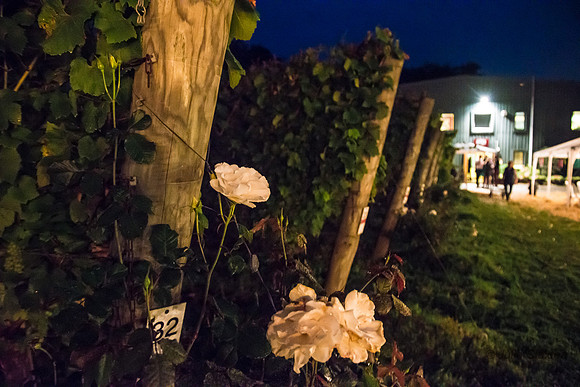20140901-DSC_0577