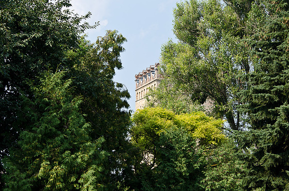 20120728-_DSC5874