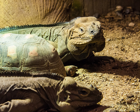 20140308-_JC20449