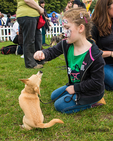20140906-DSC_1424