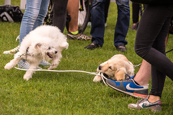 20140906-DSC_1700