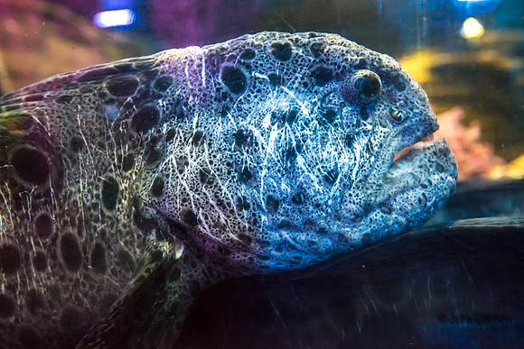 20160323-_DSC4367