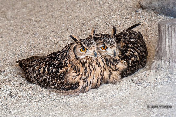 20130420-_JMC8653