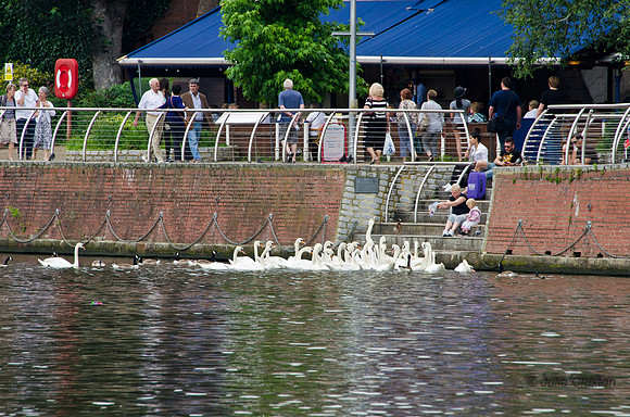 20120627-_DSC5392