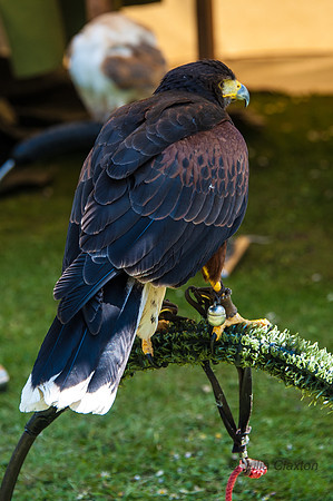 20130527-_JC10499