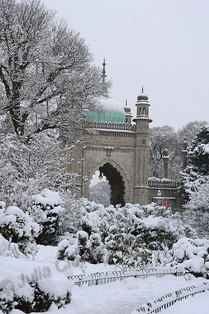 Snow JMC_2678