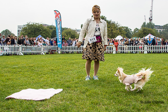 20140906-DSC_1502