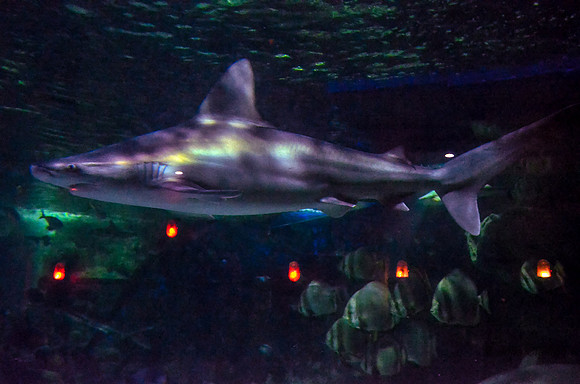 20130430-_DSC8004