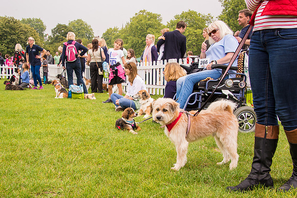 20140906-DSC_1433