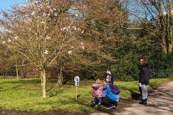 20160325-_DSC4729