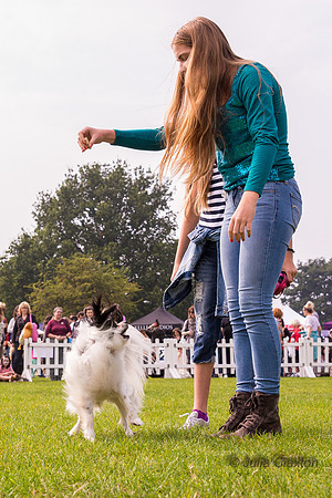 20140906-DSC_1529
