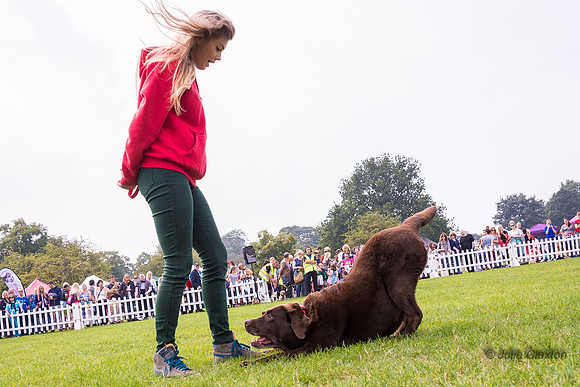 20140906-DSC_1518