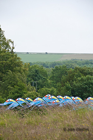KITE_115