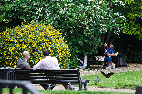 20120627-_DSC5315