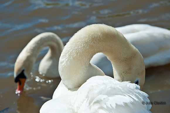 20120430-JMC_0643