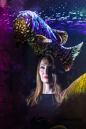 37-20160706-_DSC4409