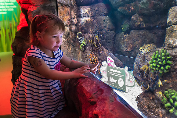 65-20160715-_DSC6154