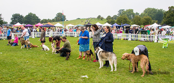 20140906-DSC_1656