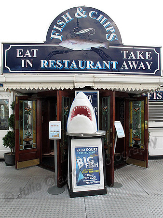 31 Brighton Pier, Icons and Graphics