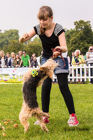 20140906-DSC_1487