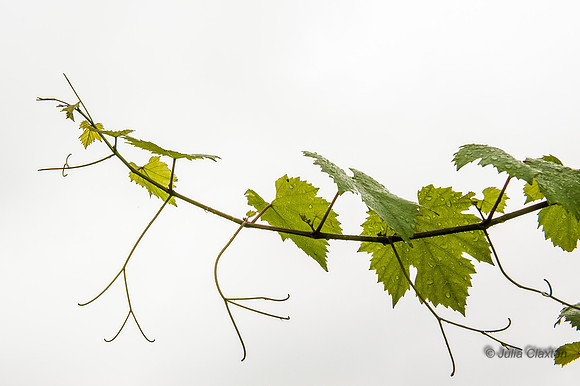 20130824-_DSC5172