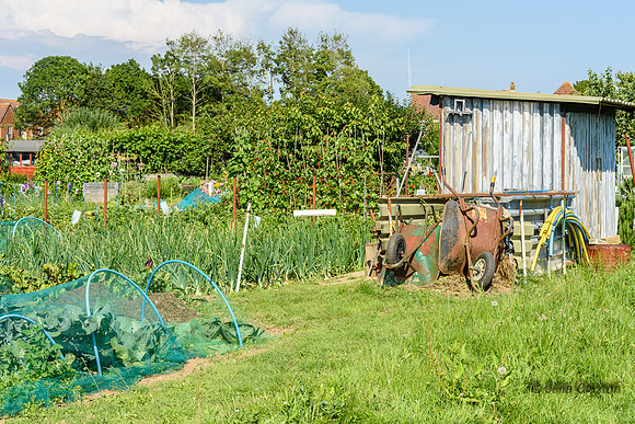 541-20210720-_DSC4106