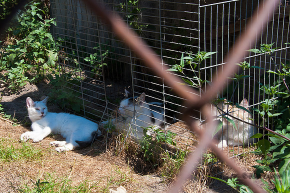 20120730-_JMC6670