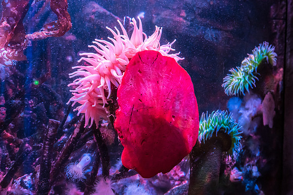 20160323-_DSC4382