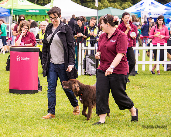 20140906-DSC_1280