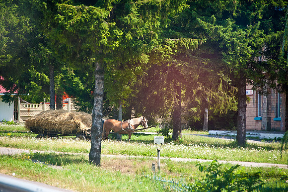 20120729-_JMC6447