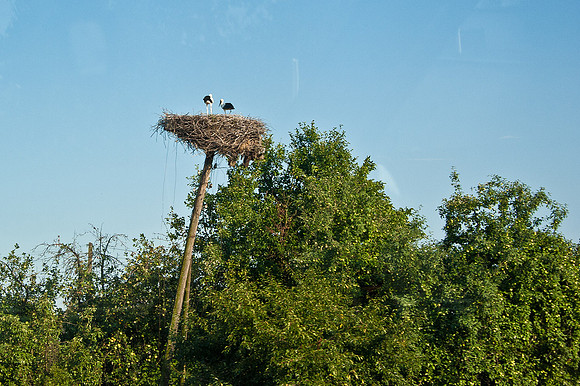 20120729-_JMC6599
