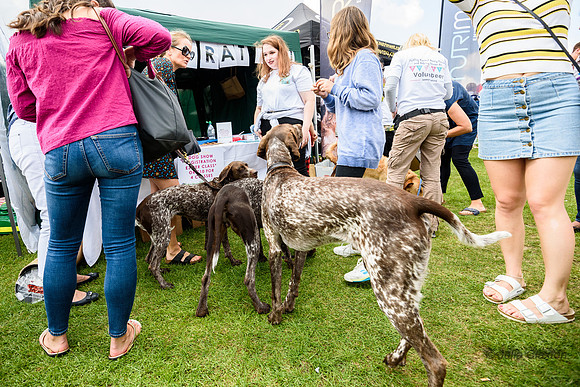 20170902-_JC19907