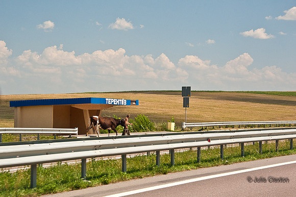 20120729-_JMC6441