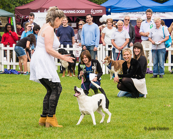 20140906-DSC_1469