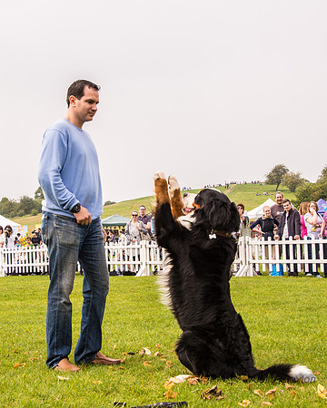 20140906-DSC_1491