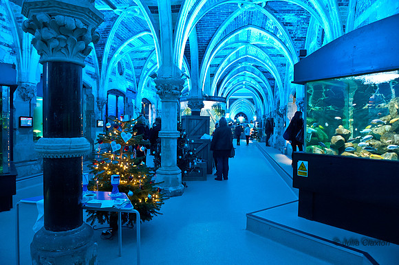 20121218-_JMC0380