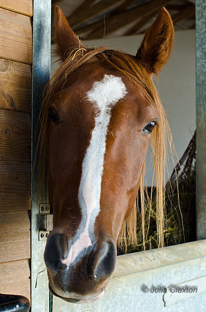20120915-_DSC6521