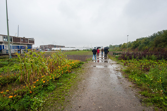 20131011-_JC23819