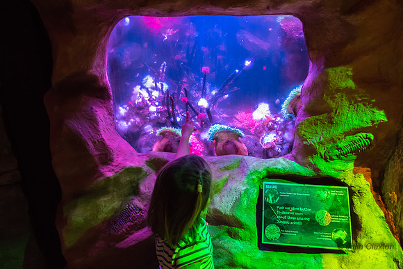 70-20160715-_DSC6244