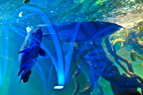 20120516-JMC_1378