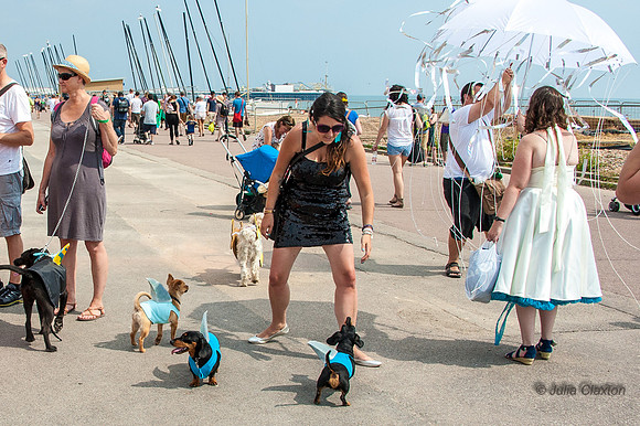20140726-_DSC7346