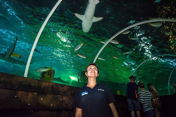 36-20150707-5889