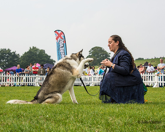 20140906-DSC_1540