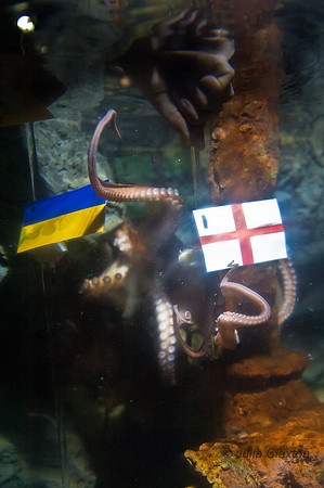 20120615-JMC_3489