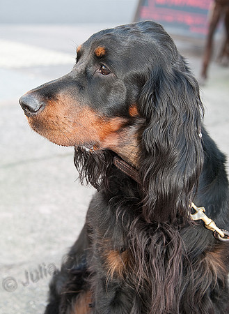 K9RW_JMC_0484