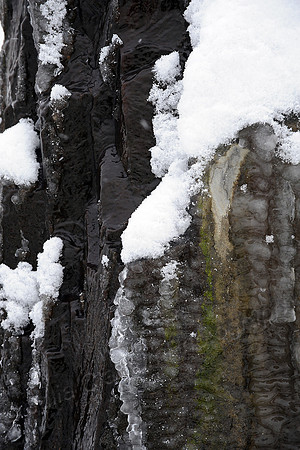 Snow JMC_2664