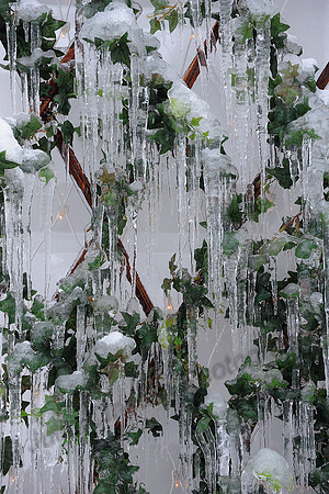 Snow JMC_2683