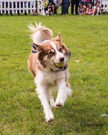 20140906-DSC_1497
