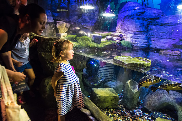 57-20160715-_DSC6077